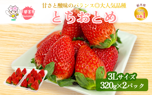 [先行予約]とちおとめ320g×2パック 3Lサイズ いちご 苺 イチゴ フルーツ 果物 国産 平積み ※2025年1月中旬頃より順次発送予定