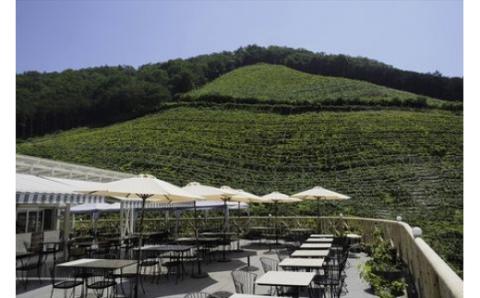 ココワイン/風のワインセット【 ワイン お酒 栃木県 足利市 】 F7Z-008