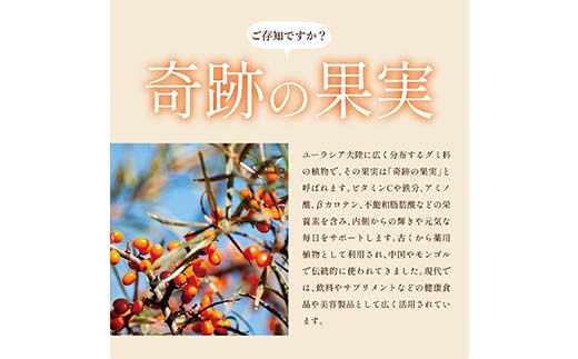 濃縮サジー酢500ml瓶　(3倍希釈タイプ)【 ギフト プレゼント お中元 お歳暮 贈答品 栃木県 足利市 】 F7Z-1368