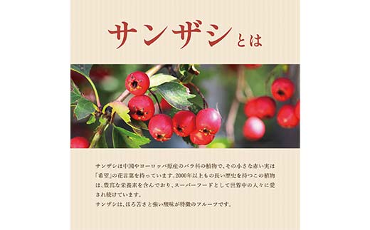 濃縮サンザシ500ml瓶 (3倍希釈タイプ)【 ギフト プレゼント お中元 お歳暮 贈答品 栃木県 足利市 】 F7Z-1370