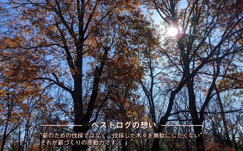 【定期便1箱×3回お届け】ベストログこだわりの長時間よく燃える薪（マッキー君） （1箱 約12kg～13kg程） F7Z-506