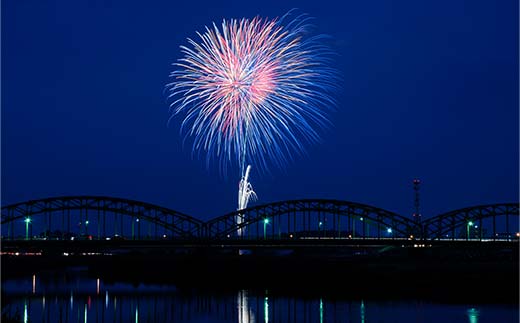 【2025年8月2日(土)】第109回足利花火大会 有料観覧券 ブルーシート席＜1区画＞ 8名定員 花火大会 花火 イベント 行事 夏 券 チケット ペア 家族 大人数 栃木県 足利市 F7Z-1402