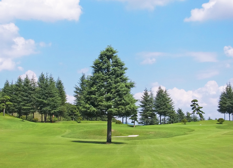 【会員限定】東松苑ゴルフ倶楽部　施設利用券　￥90,000分【 栃木県 足利市 】 F7Z-1324