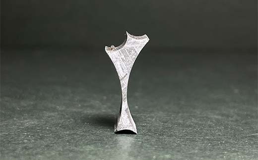 ムオニオナルスタ隕石 訳あり F7Z-1325