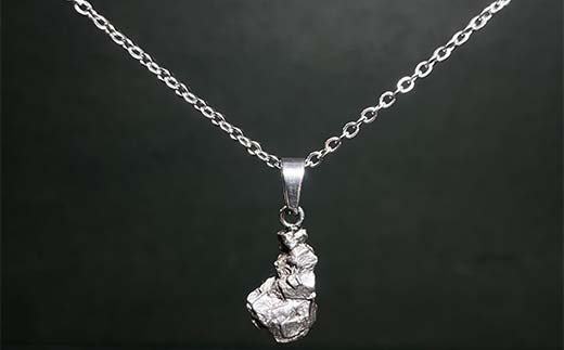 カンポデルシエロ隕石のネックレス F7Z-1327