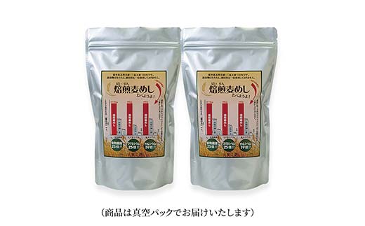 おいしい焙煎麦めし 250g×2 栃木県 足利市 F7Z-1365