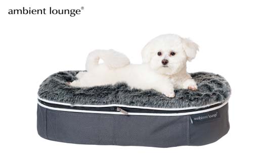 【アンビエントラウンジジャパン】犬ペットラウンジグレー・ウルフグレー(Sサイズ)※小型犬向け LOWタイプ ELITE【 栃木県 足利市 】 F7Z-1412
