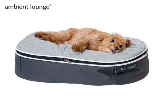 【アンビエントラウンジジャパン】犬ペットラウンジグレー・キルトグレー(Sサイズ)※小型犬向け LOWタイプ ELITE【 栃木県 足利市 】 F7Z-1413