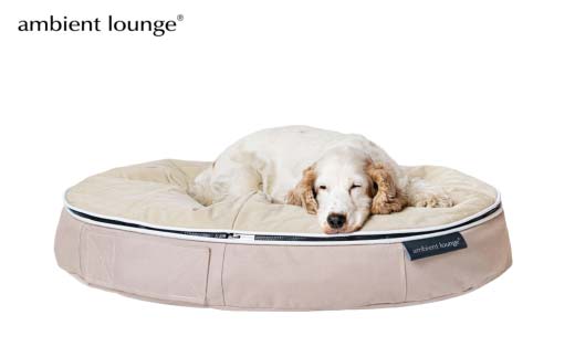 【アンビエントラウンジジャパン】犬ペットラウンジベージュ・キルトベージュ(Mサイズ)※中型犬向け LOWタイプ ELITE【 栃木県 足利市 】 F7Z-1418