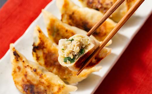 ＼もちもちジューシー！／おおきな手作り冷凍餃子20個(10個×2) 小分け 冷凍 餃子 ぎょうざ ギョーザ 豚肉 中華 惣菜 食品 自宅 家庭 焼くだけ 簡単 調理 栃木県 足利市  F7Z-1712