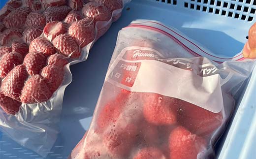 栃木のブランドとちあいか 大ちゃん農園の冷凍いちご2kg(500g×4袋) いちご イチゴ 苺 デザート フルーツ 果物 くだもの 果実 食品 F7Z-1717