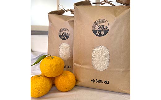 令和7年産 新米 栃木県足利市産 ゆうだい21 5kg 精米 白米 米 こめ ごはん 食品 栃木県 足利市 F7Z-1810