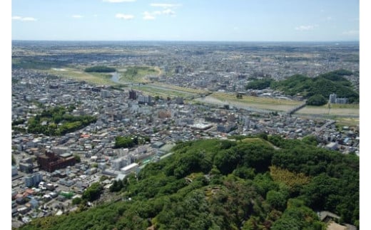 【返礼品なし】栃木県足利市応援寄附金 50,000円 F7Z-B050