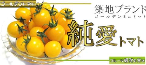 栃木県足利産のこだわりミニトマト甘さいっぱい「純愛トマト」 2kg 〈出荷時期:2025年3月1日～2025年6月20日〉 F7Z-254