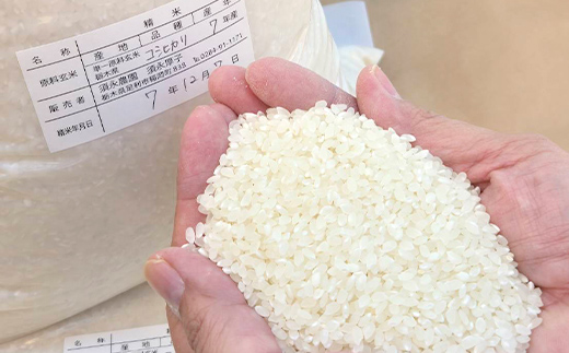 令和7年産 新米 栃木県足利市産 コシヒカリ5kg 精米 白米 米 こめ ごはん 食品 栃木県 足利市  F7Z-1813