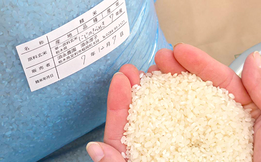 令和7年産 新米 栃木県足利市産にじのきらめき5kg 精米 白米 米 こめ ごはん 食品 栃木県 足利市  F7Z-1817