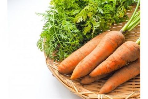 渡良瀬川の恵みを受けて育った あしかが美人にんじん 10kg 〈出荷時期:2025年5月15日～2025年6月20日まで〉 F7Z-252