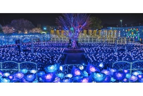 あしかがフラワーパーク入園券（3枚) F7Z-753