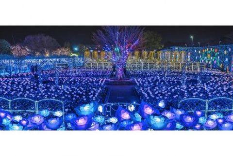 あしかがフラワーパーク入園券（2枚）+オリジナルグッズ F7Z-751