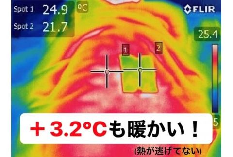 シャネボウ　ふわっと暖暖　「大人のベットカバー」 F7Z-444