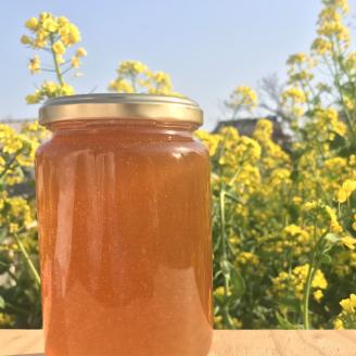 【純国産・非加熱はちみつ】季節の花々からの恵みを蓄えた百花はちみつ【 ハチミツ 家庭用 お中元 敬老の日 栃木県 足利市 】 F7Z-1303