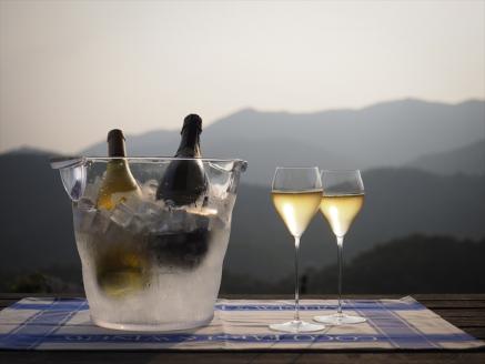 スパークリングワイン/北のぼ【 ワイン お酒 栃木県 足利市 】 F7Z-011