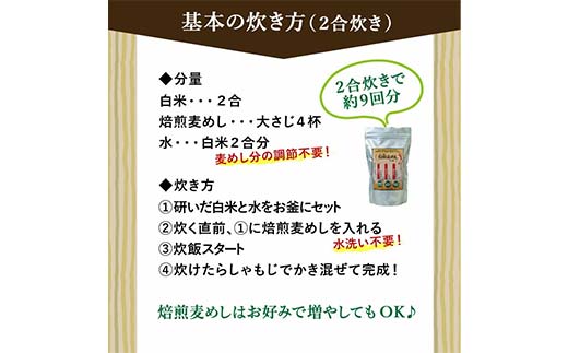 おいしい焙煎麦めし 250g×2 栃木県 足利市 F7Z-1365