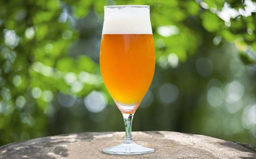 【Toshi Ishii】日本を代表するブリューマスターが造る「ORIHIME」 French Saison 355ml×8缶 【 クラフトビール お酒 栃木県 足利市 】 F7Z-1439