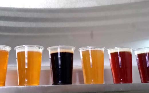 ＼現地で体験／ 足利市のISHII BREWING醸造所内で"Fresh The Craft Beer"15種類飲める＋2リットルのクラフトビールお持ち帰り オンタップス15＋ボトル2リットル【 クラフトビール お酒 栃木県 足利市 】 F7Z-1442