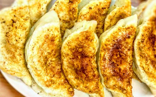 ＼もちもちジューシー！／おおきな手作り冷凍餃子20個(10個×2) 小分け 冷凍 餃子 ぎょうざ ギョーザ 豚肉 中華 惣菜 食品 自宅 家庭 焼くだけ 簡単 調理 栃木県 足利市  F7Z-1712