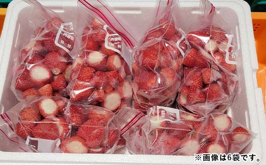 栃木のブランドとちあいか 大ちゃん農園の冷凍いちご1kg(500g×2袋) いちご イチゴ 苺 デザート フルーツ 果物 くだもの 果実 食品 F7Z-1716
