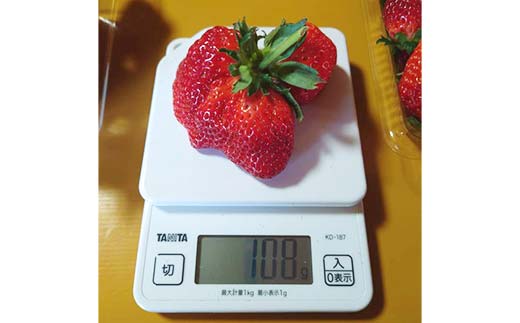 農薬不使用とちおとめ300gを2パック いちご イチゴ 苺 デザート フルーツ 果物 くだもの 果実 食品 F7Z-1806