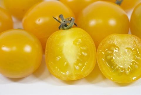 栃木県足利産のこだわりミニトマト甘さいっぱい「純愛トマト」 2kg 〈出荷時期:2025年3月1日～2025年6月20日〉 F7Z-254