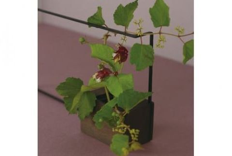 ALART〈アルアート〉　NOIR ノワール　04 曲 花器　インテリア　玄関やサイドボードに。木と金属を組み合わせた存在感のある花器　シンプル&モダンスタイル F7Z-235