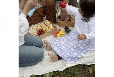 足利型染てぬぐい ASHIKAGA 白鼠 F7Z-154