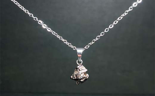 カンポデルシエロ隕石のネックレス F7Z-1327