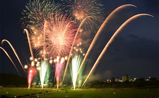 【2025年8月2日(土)】 第109回足利花火大会 駐車場 駐車券＜1台分＞ 花火大会 花火 イベント 行事 夏 栃木県 足利市 F7Z-1405