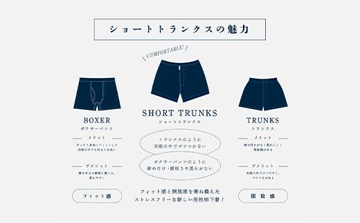 メンズ下着 シルクトランクス (XLネイビー5枚) ZIVANE F7Z-1574