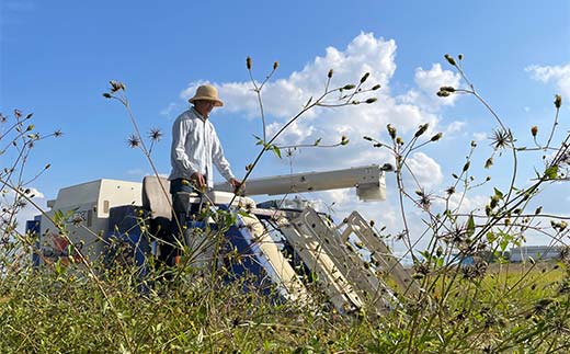 令和7年産 新米 栃木県足利市産 ゆうだい21 5kg 精米 白米 米 こめ ごはん 食品 栃木県 足利市 F7Z-1810