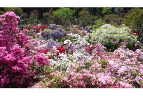 あしかがフラワーパーク入園券（2枚）+オリジナルグッズ F7Z-751