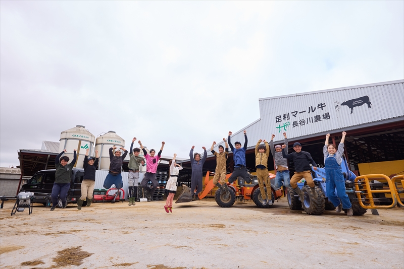 農場直送！足利マール牛　上カルビ400g/カルビ400g6ヶ月定期便 F7Z-264