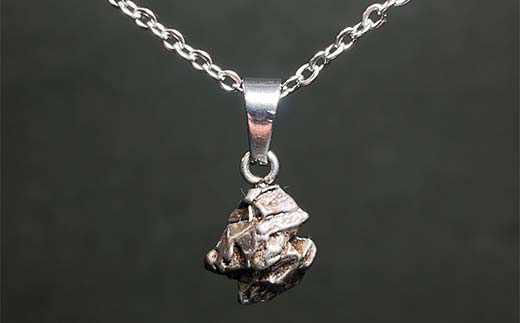 カンポデルシエロ隕石のネックレス F7Z-1327