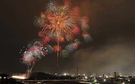 【2025年8月2日(土)】 第109回足利花火大会 駐車場 駐車券＜1台分＞ 花火大会 花火 イベント 行事 夏 栃木県 足利市 F7Z-1405