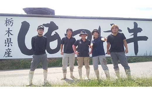 栃木県産 厳選下野牛！ 希少部位ほほ肉 1頭分(約800～900g) 煮込み用 国産 ブランド牛 牛肉 肉 牛 希少部位 塊肉 塊 カレー 煮込み 調理 食品 冷凍 贈答 贈り物 ギフト プレゼント 自宅 家庭 栃木県 足利市 F7Z-1601