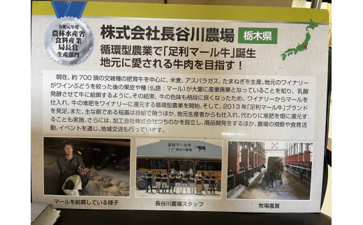 【至福のご褒美肉】足利マール牛1頭！　約400kg F7Z-1651