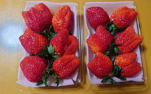 農薬不使用とちおとめ300gを2パック いちご イチゴ 苺 デザート フルーツ 果物 くだもの 果実 食品 F7Z-1806