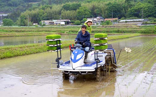 令和7年産 新米 栃木県足利市産 ゆうだい21 5kg 精米 白米 米 こめ ごはん 食品 栃木県 足利市 F7Z-1810