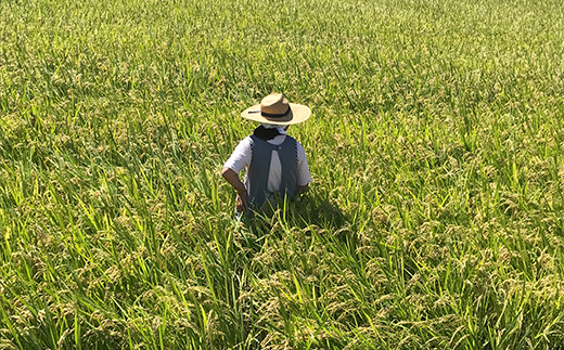 令和7年産 新米 栃木県足利市産にじのきらめき5kg 精米 白米 米 こめ ごはん 食品 栃木県 足利市  F7Z-1817