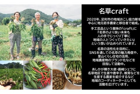 ＜あしかが輝き大使・薮崎シェフ＞ 名草生姜の麻辣火鍋 【濃縮タイプ】 2人前(355g)×3セット F7Z-180