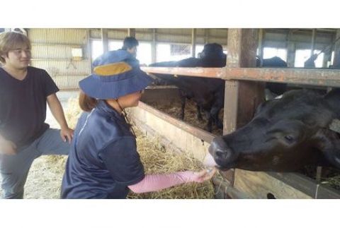 「下野牛」牛レバー約1キロ F7Z-141